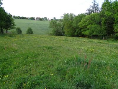 For sale Land MIRANDE  32