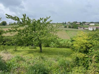 photo For sale Land HURIGNY 71