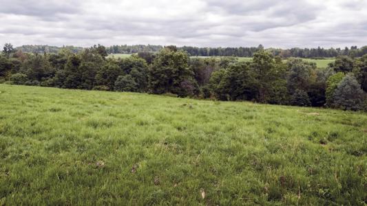 For sale Land GUEUX  51