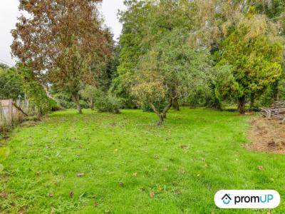 photo For sale Land TELOCHE 72