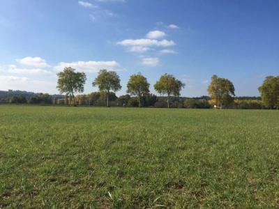 photo For sale Land PRESERVILLE 31
