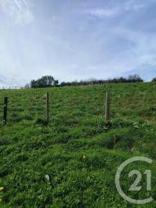 Vente Terrain GOUY-SAINT-ANDRE 62870