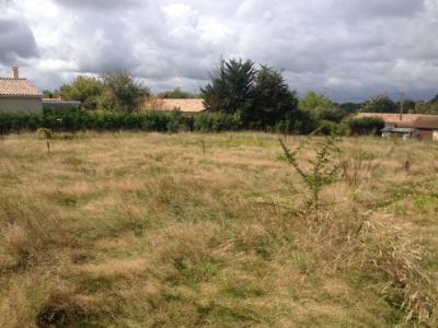 photo For sale Land SALLES 33