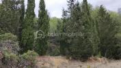 For sale Land Sigean  11130 2240 m2