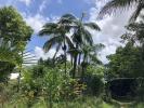 For sale Land Bretagne 97490 588 m2