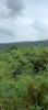 For sale Land Possession 97419 1647 m2