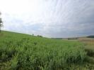 Annonce Vente Terrain Saligny