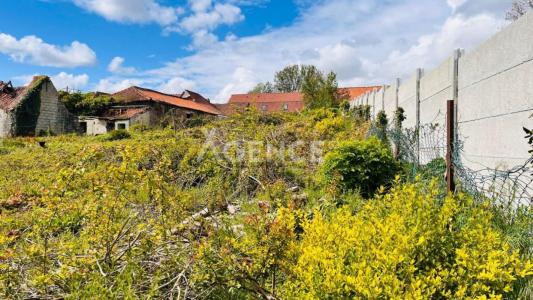 Vente Maison MORINGHEM 