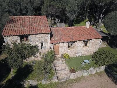 Vente Maison SOTTA  20