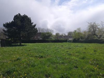 photo For sale Land CARVIN 62