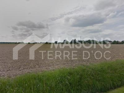 Vente Terrain VILLE-DIEU-DU-TEMPLE 82290