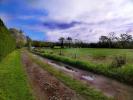 For sale Land Chassenon  16150 5000 m2