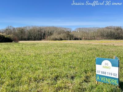 photo For sale Land AMOU 40