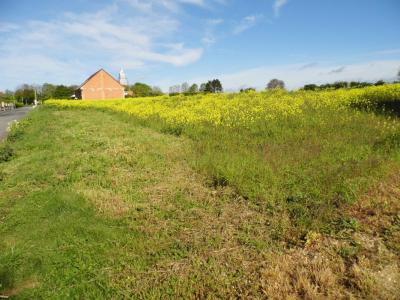 For sale Land SAINT-HILAIRE-LE-PETIT  51