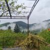 Vente Maison Mandagout 30