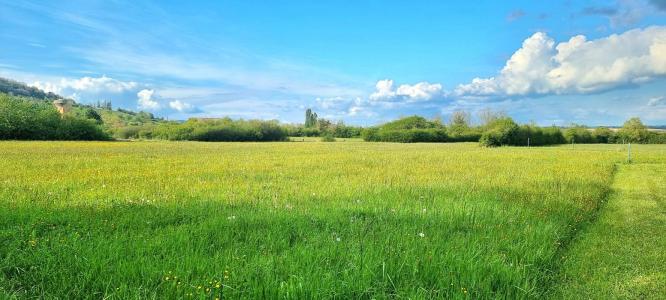 Vente Terrain DOMGERMAIN 54119