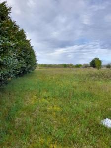 For sale Land ABZAC  33
