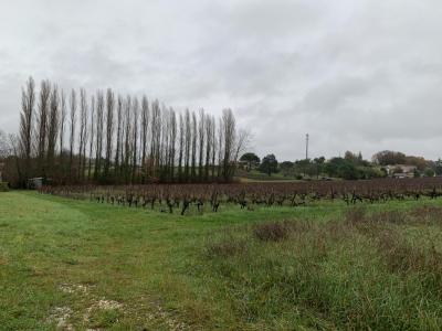 For sale Land LUGON-ET-L'ILE-DU-CARNAY  33