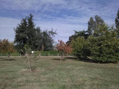 photo For sale Land SAINT-MARTIN-DU-BOIS 33