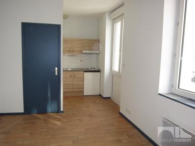 photo For rent Apartment SAINT-ETIENNE 42