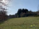 For sale Land Affieux  19260 3961 m2