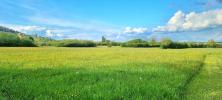 For sale Land Domgermain  54119 20000 m2