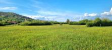 Acheter Terrain 20000 m2 Domgermain