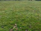 For sale Land Chanoz-chatenay  01400 800 m2