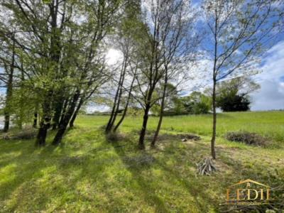 photo For sale Land MOISSAC 82