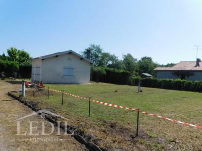 Vente Terrain SAINT-SYMPHORIEN 33113