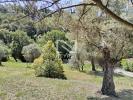 House FAYENCE 