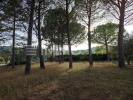 For sale Land Figanieres  83830 625 m2