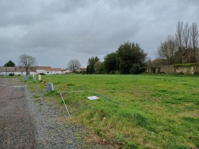 Vente Terrain BEAUVOIR-SUR-MER  85