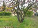 For sale Land Reyrieux  01600