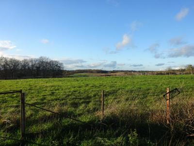 For sale Land AZAY-LE-FERRON  36