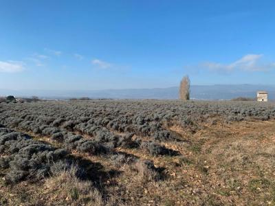 photo For sale Land MONTELIMAR 26
