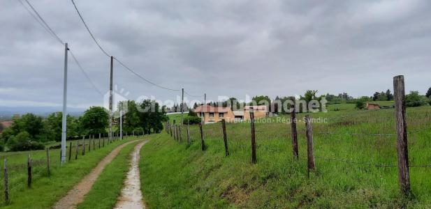 photo For sale House POUILLY-LES-FEURS 42
