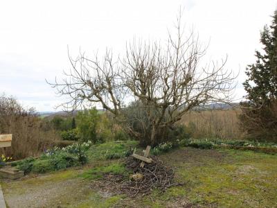 Vente Maison MONTGRADAIL 