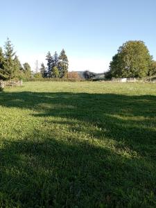 Vente Terrain FERRIERES-SUR-SICHON 03250