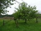 Acheter Terrain 10164 m2 Aubas
