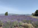 Land MONTELIMAR 