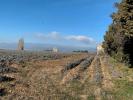 Land MONTELIMAR 