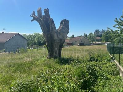 photo For sale Land PAJAY 38