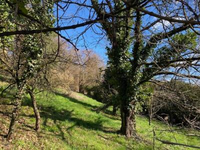 For sale Land ALTKIRCH  68