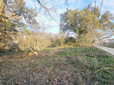 photo For sale Land GHISONACCIA 20