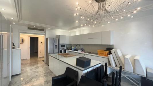 Rent for holidays Apartment CANNES 