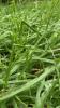 For sale Land Bouxieres-aux-dames 54136 235 m2