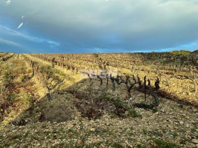 photo For sale Land VISAN 84