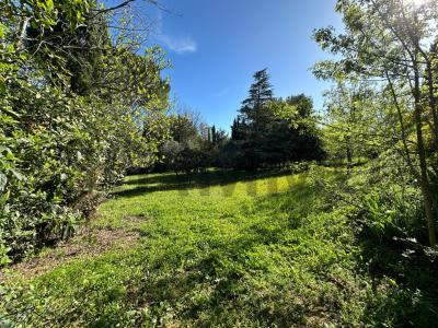 Vente Terrain MARGON 34320