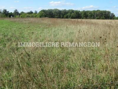 Vente Terrain CHAUMONT-SUR-THARONNE  41